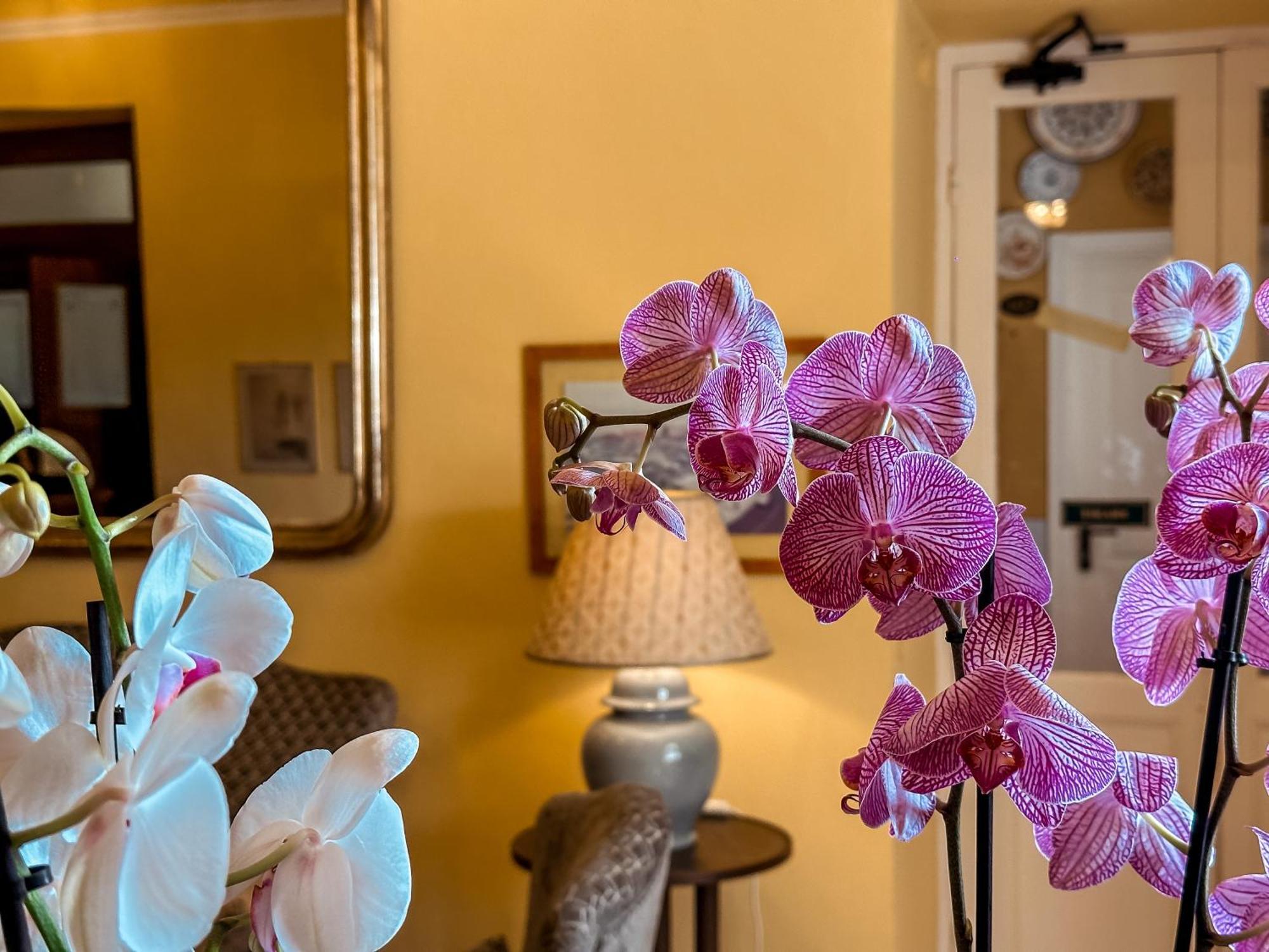 Hotel Villa Anita Santa Margherita Ligure Buitenkant foto